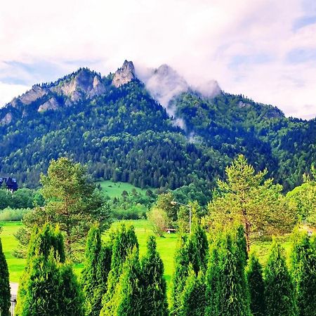 Willa Magdalena Sromowce Niżne Dış mekan fotoğraf